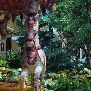 Meet your Posher, Aron james